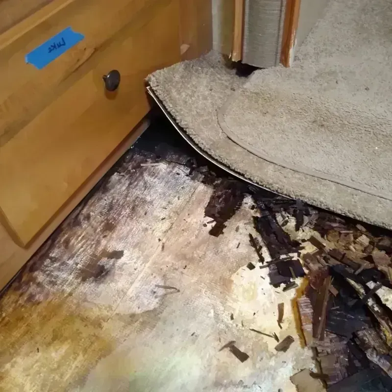 Wood Floor Water Damage in North Platte, NE